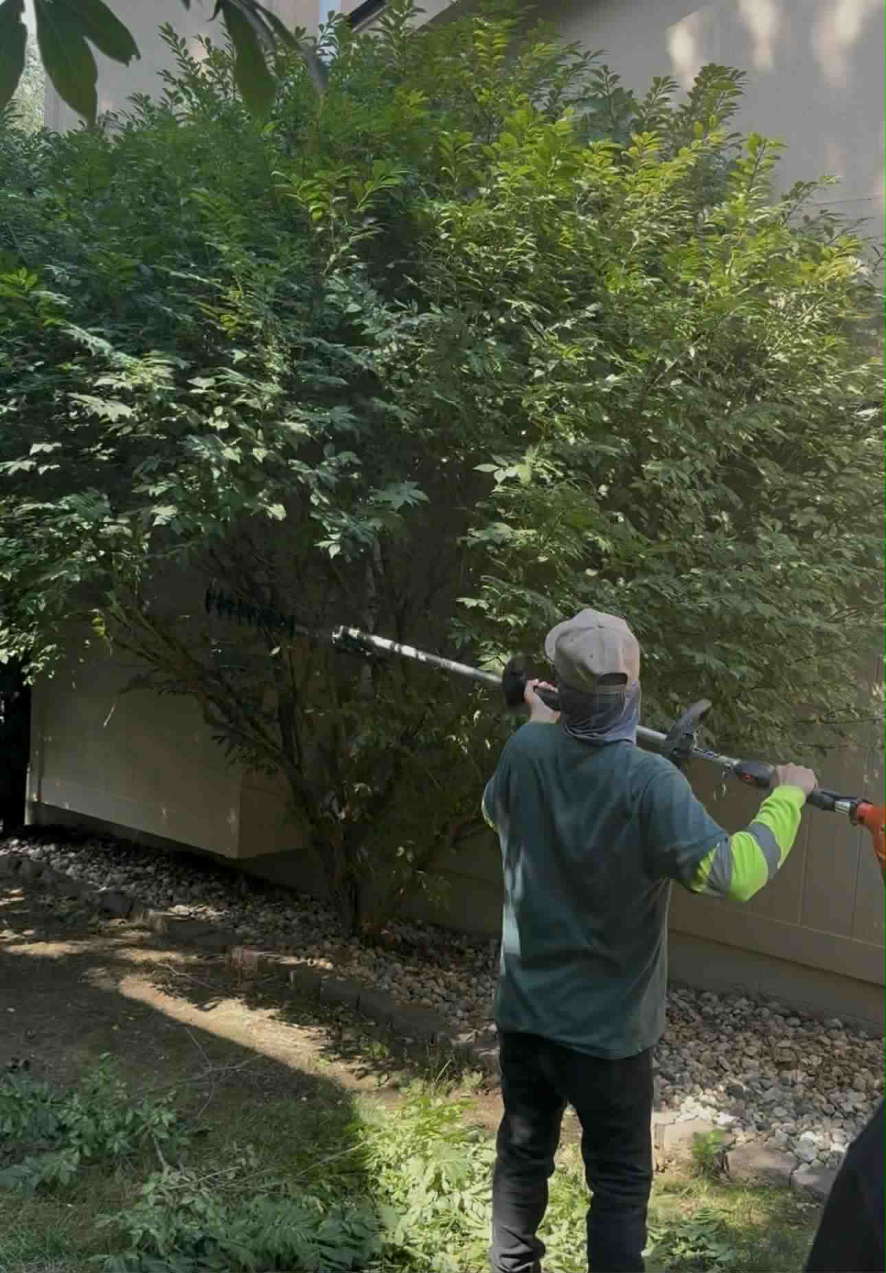 Lawn mowing and residential landscaping service in Papillion, Nebraska